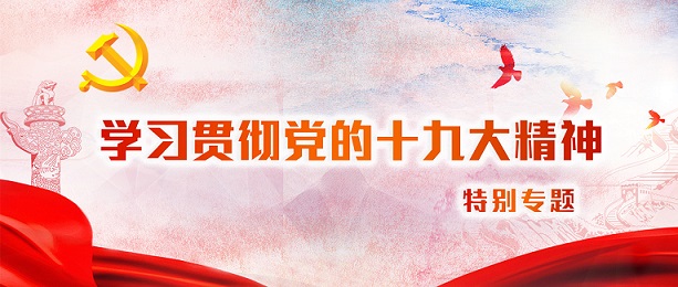 学习贯彻党的十九大精神专题培训